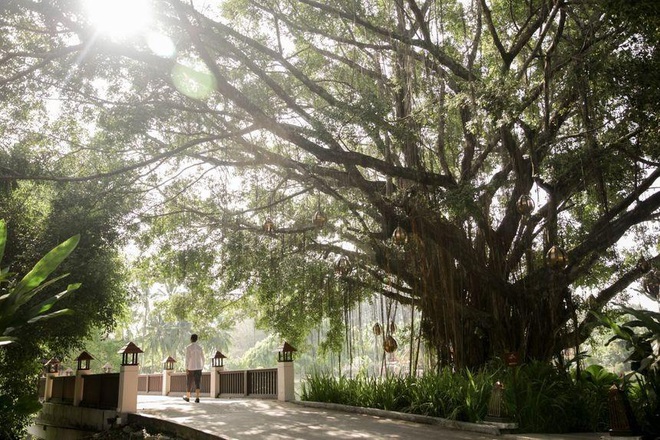 Banyan Tree khai thác nhu cầu du lịch hậu Covid-19 tại Việt Nam - 1